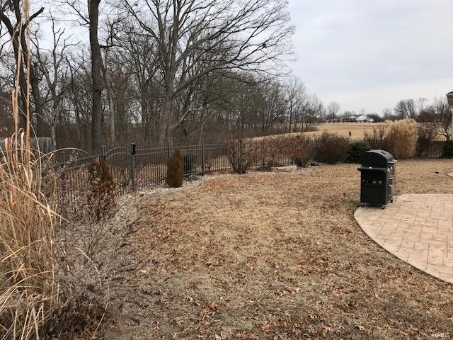 31508 Mitchell Creek Road Brighton, IL 62012 - Photo 80 of 96