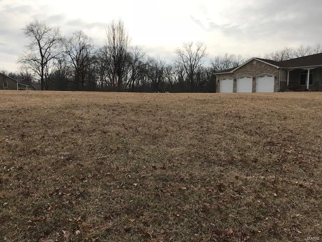 31508 Mitchell Creek Road Brighton, IL 62012 - Photo 87 of 96