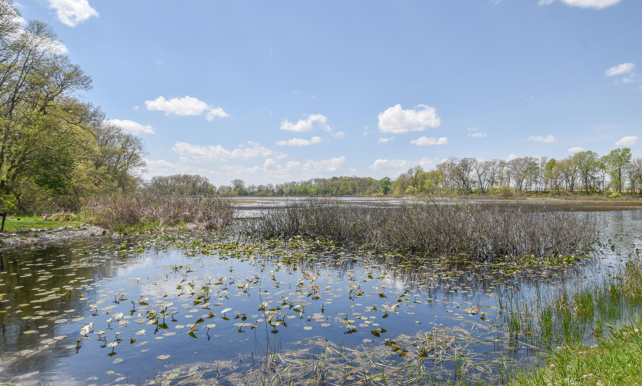 414 River Road Coldwater, MI 49036 - Photo 36 of 37 DSC_0006