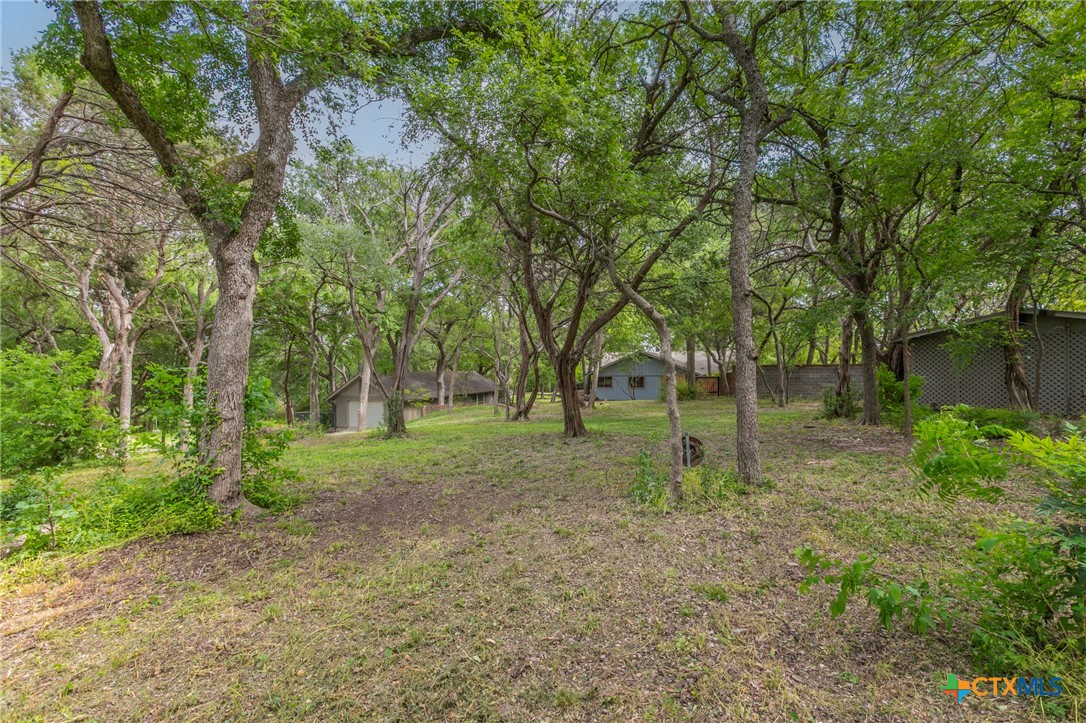 2518 Marlandwood Road Temple, TX 76502 - Photo 42 of 48 a view of outdoor space and tree