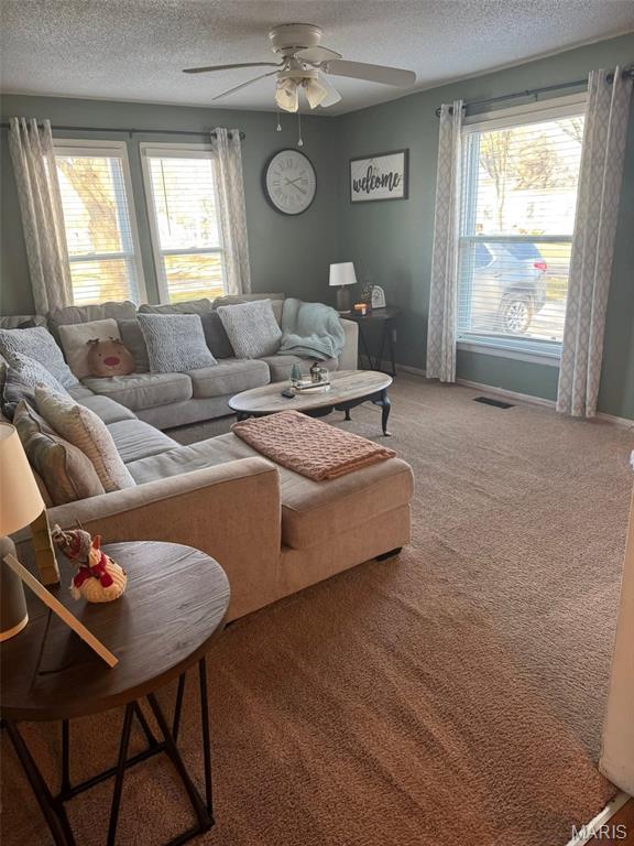 405 Perkins Street Odin, IL 62870 - Photo 5 of 21