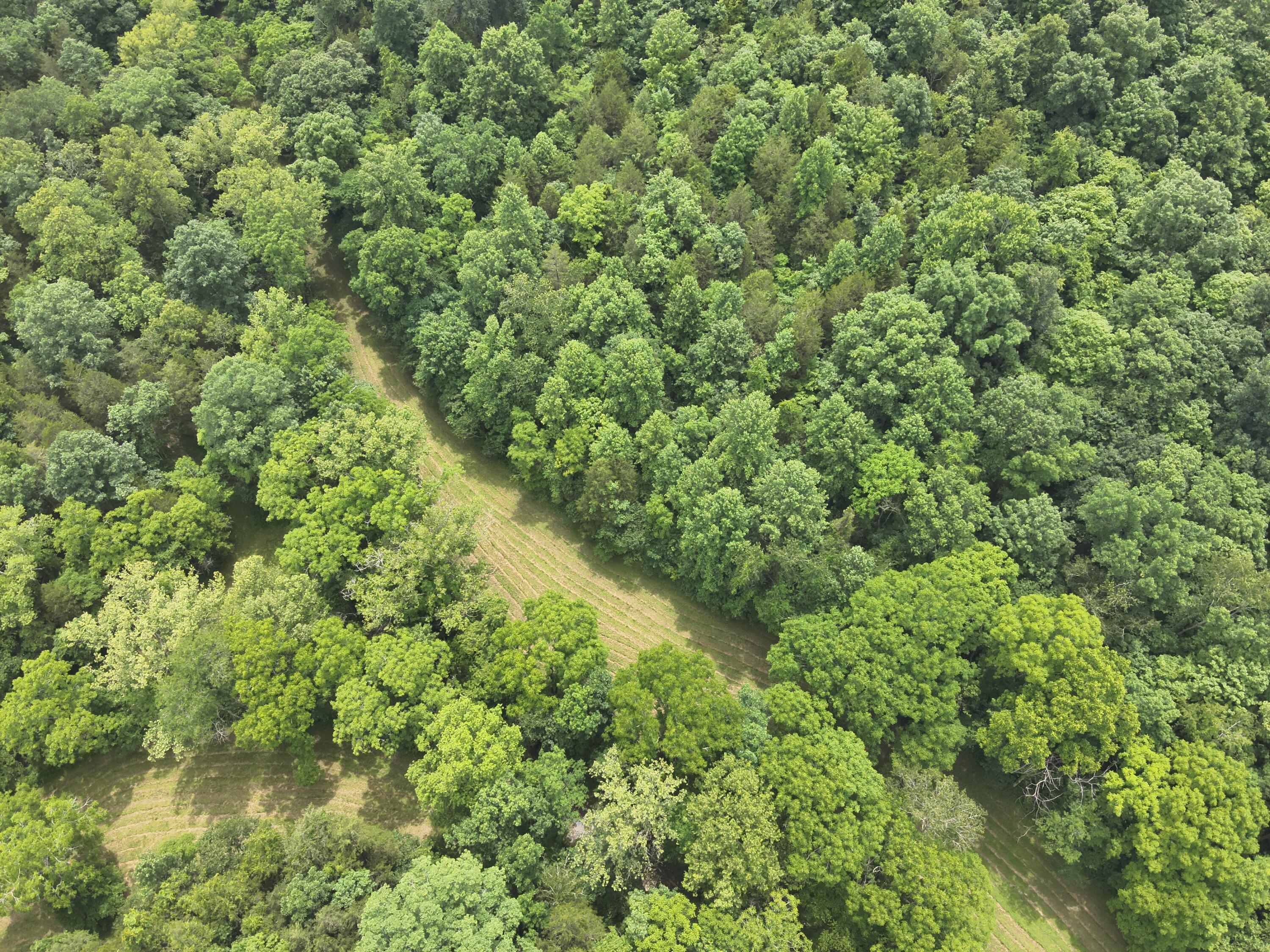 0 Kelly Ridge Road Irvine, KY 40336 - Photo 26 of 39 DJI_20260625135642_0011_V