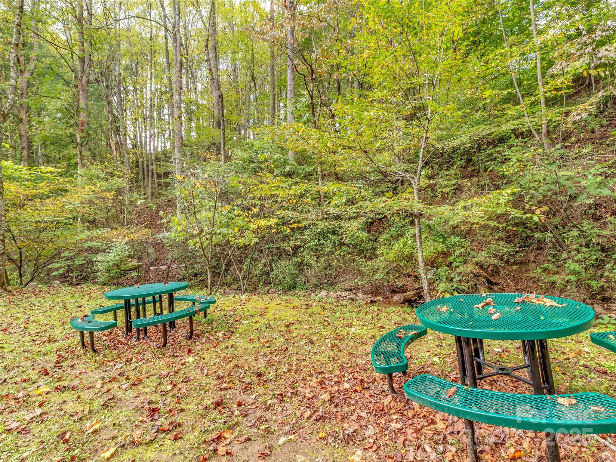 70 Icicle Ridge Road Sylva, NC 28779 - Photo 33 of 48