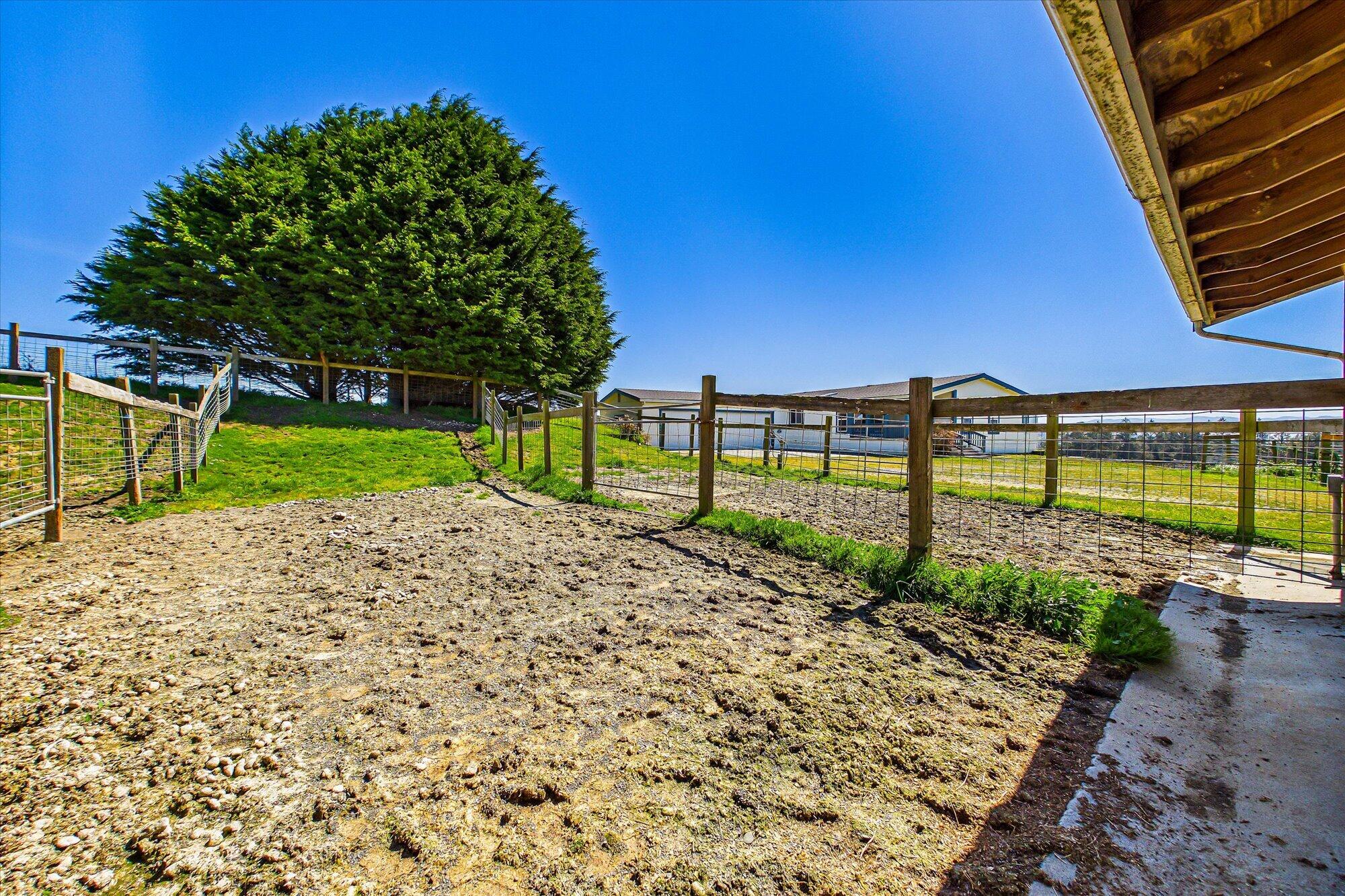 255 Hillcrest Road Loleta, CA 95551 - Photo 69 of 105 069-255 Hillcrest Road-159