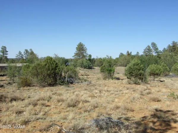 $331,000 | Parcel A Lamb Drive, Pinedale, AZ 85934