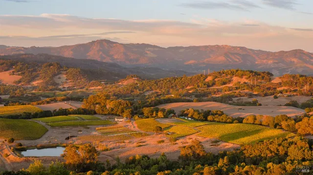 a view of an aerial view of residential houses with outdoor space and ocean view
