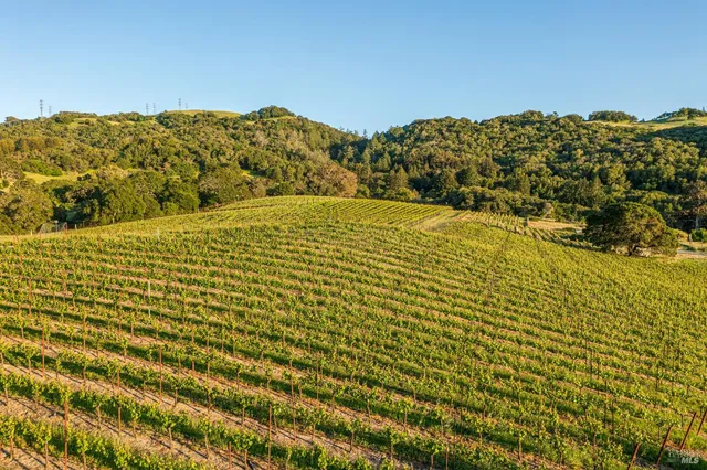 a view of swimming pool