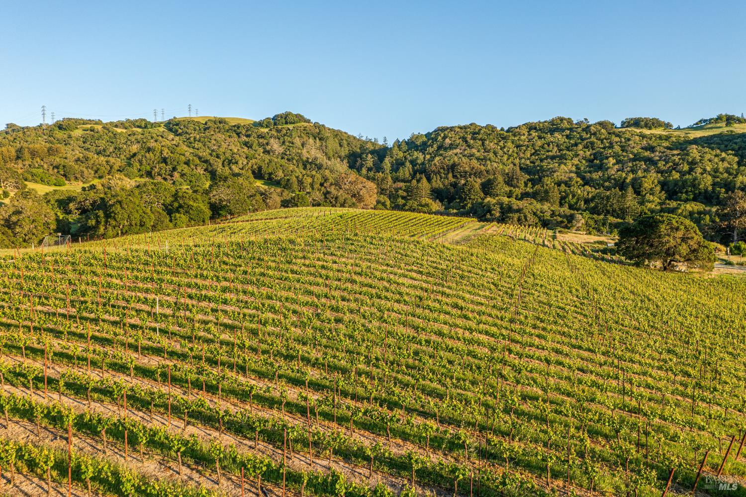 5561 Sonoma Mountain Road Santa Rosa, CA 95404 - Photo 46 of 70