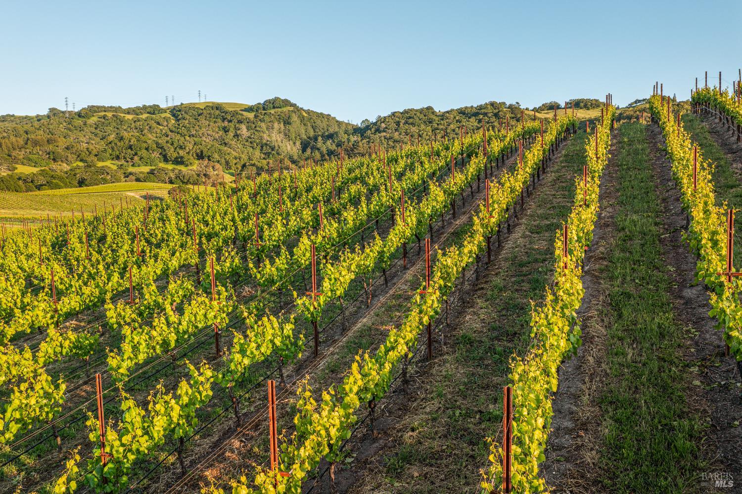 5561 Sonoma Mountain Road Santa Rosa, CA 95404 - Photo 47 of 70 a view of a large body of water with a mountain