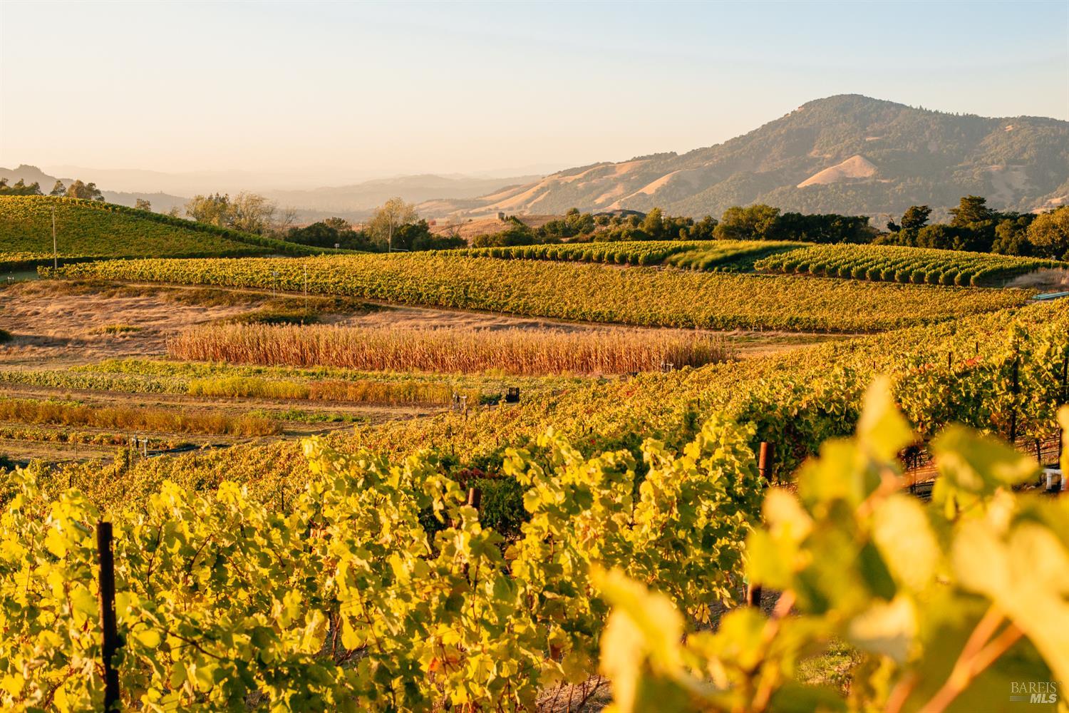 5561 Sonoma Mountain Road Santa Rosa, CA 95404 - Photo 55 of 70 a view of an ocean from a mountain