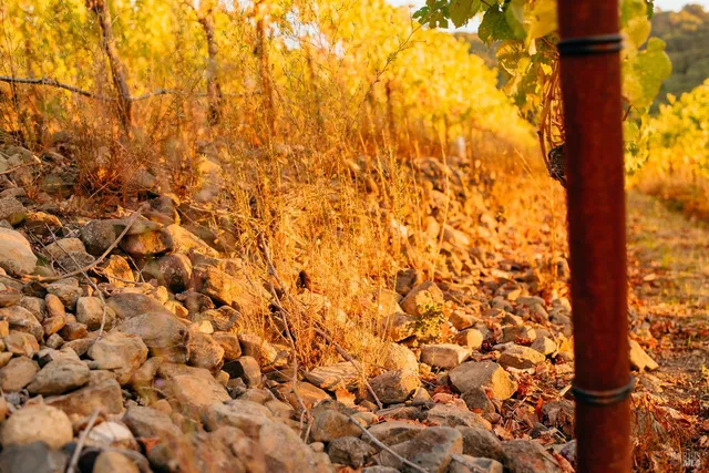 $7,900,000 | 5561 Sonoma Mountain Road, Santa Rosa, CA 95404