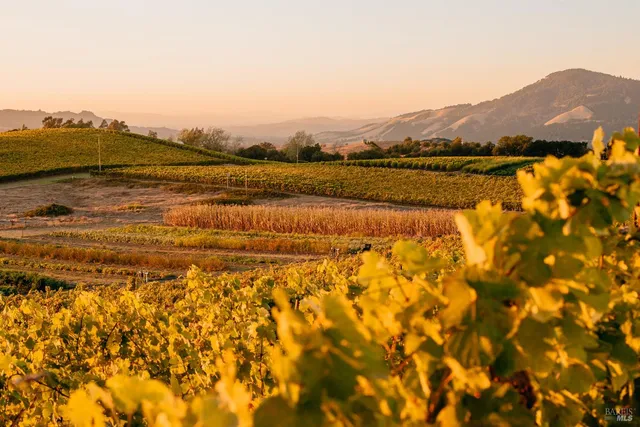 $7,900,000 | 5561 Sonoma Mountain Road, Santa Rosa, CA 95404