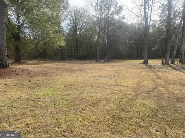a view of a yard with trees