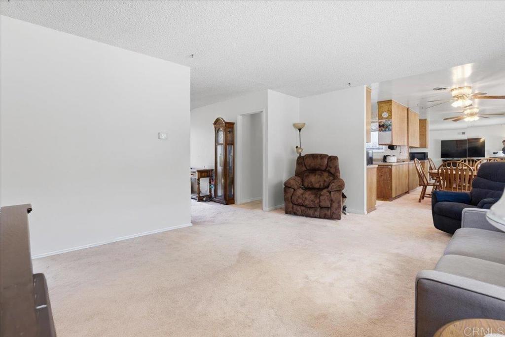 8773 Leigh Avenue Spring Valley, CA 91977 - Photo 11 of 30 a living room with furniture a couch and a fireplace