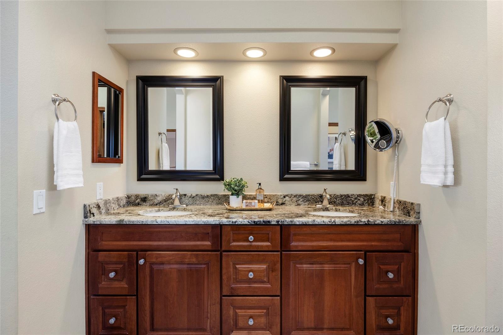 9233 Princeton Street Highlands Ranch, CO 80130 - Photo 26 of 50