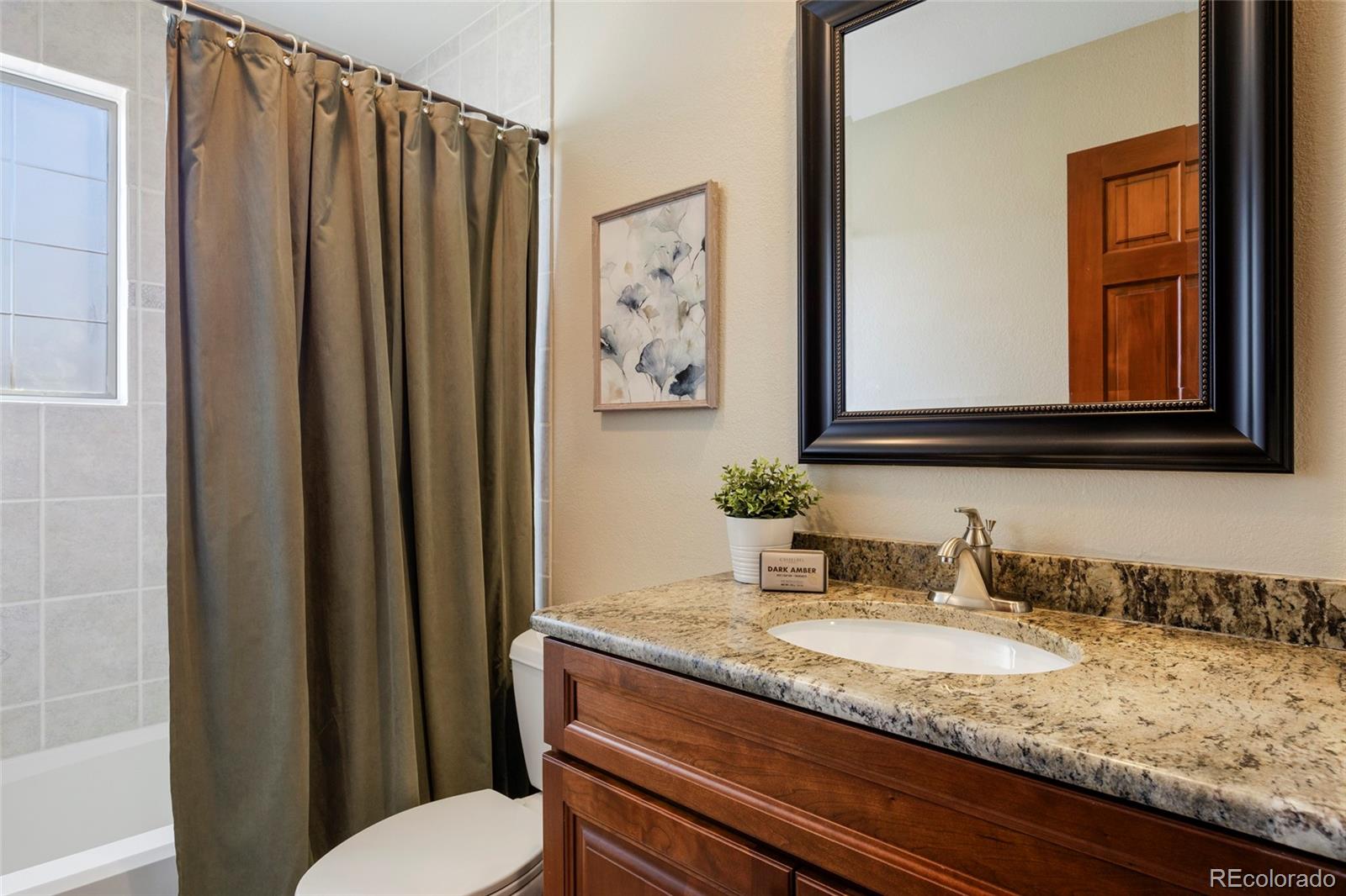 9233 Princeton Street Highlands Ranch, CO 80130 - Photo 36 of 50