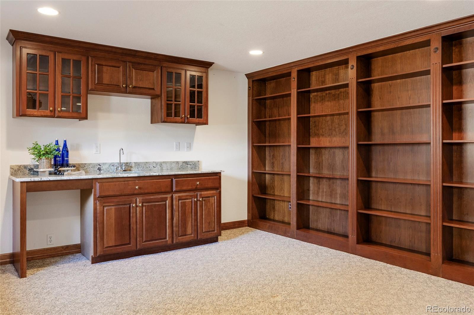 9233 Princeton Street Highlands Ranch, CO 80130 - Photo 38 of 50