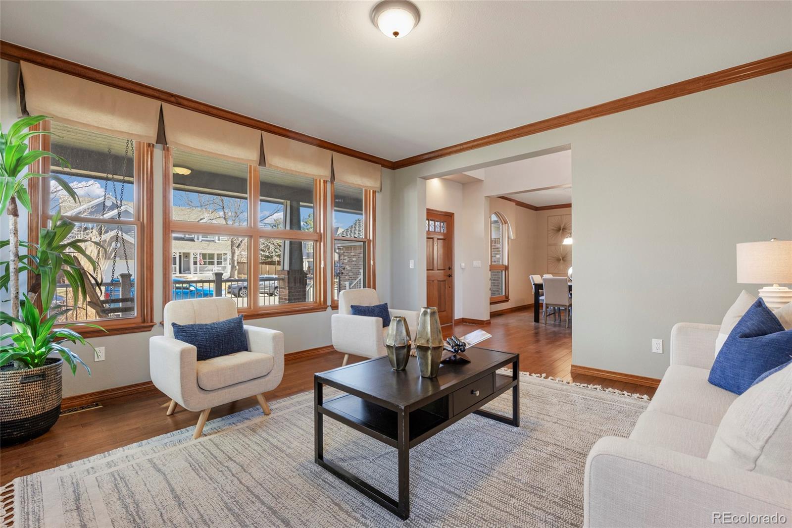 9233 Princeton Street Highlands Ranch, CO 80130 - Photo 6 of 50