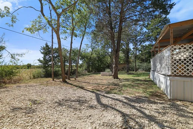 a view of a yard with plants and trees