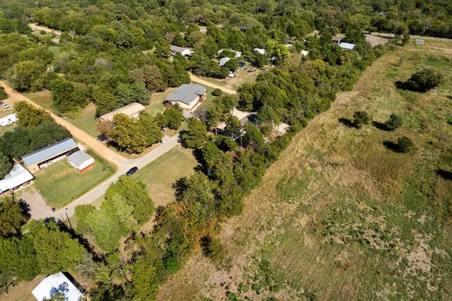 a view of a yard with plants and large trees