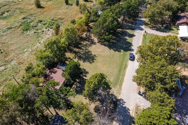 a view of a tree in a yard