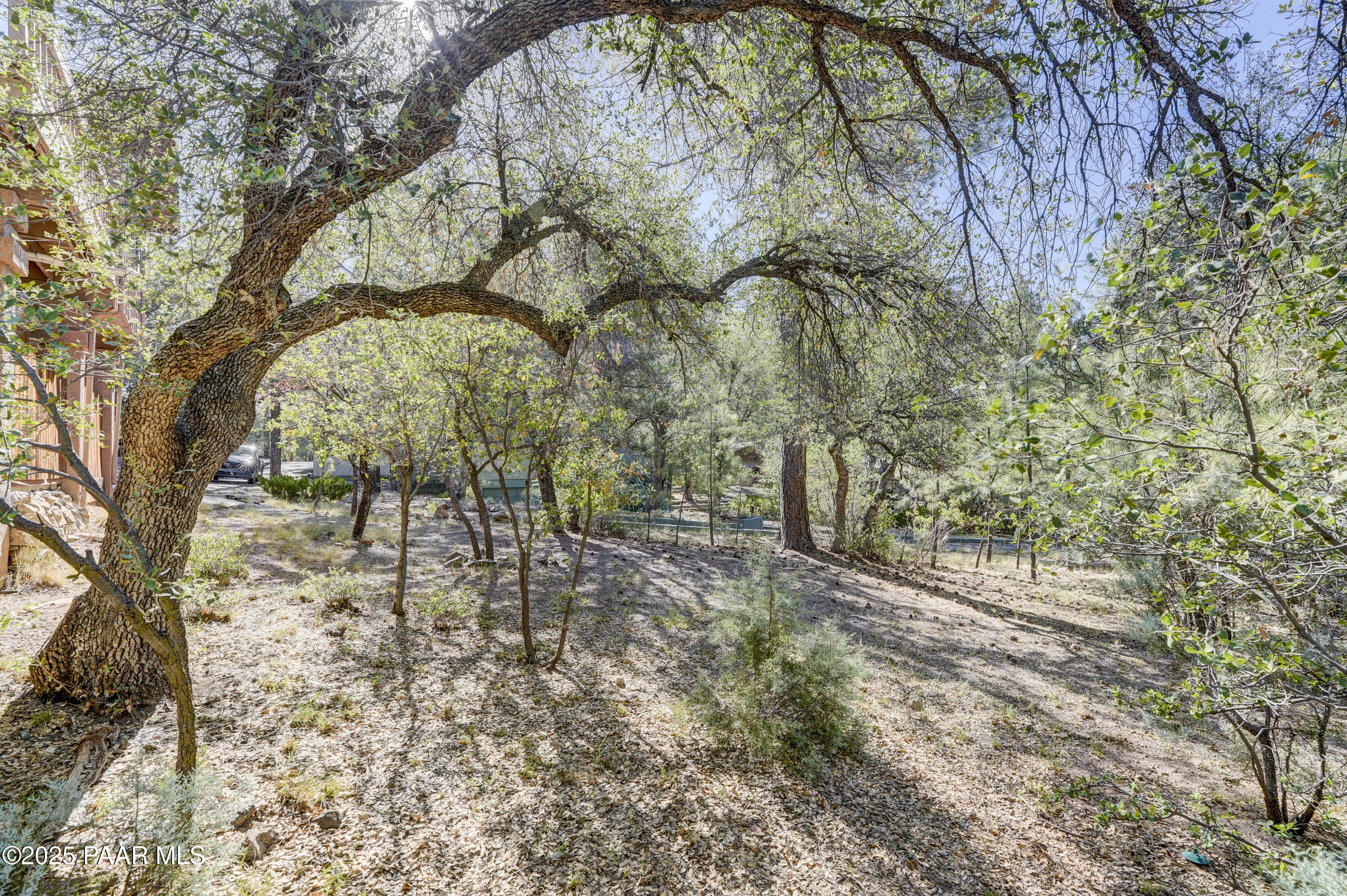 1245 Haisley Road Prescott, AZ 86303 - Photo 34 of 38 Back Yard 1
