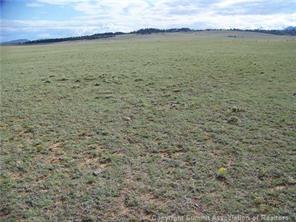 77 Salt Ranch Trail Hartsel, CO 80449 - Photo 2 of 7 Gallery Image 2