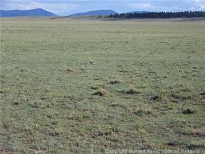 77 Salt Ranch Trail Hartsel, CO 80449 - Photo 3 of 7 Gallery Image 3