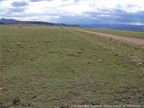 77 Salt Ranch Trail Hartsel, CO 80449 - Photo 4 of 7 Gallery Image 4