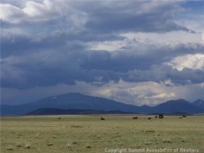 77 Salt Ranch Trail Hartsel, CO 80449 - Photo 5 of 7 Gallery Image 5