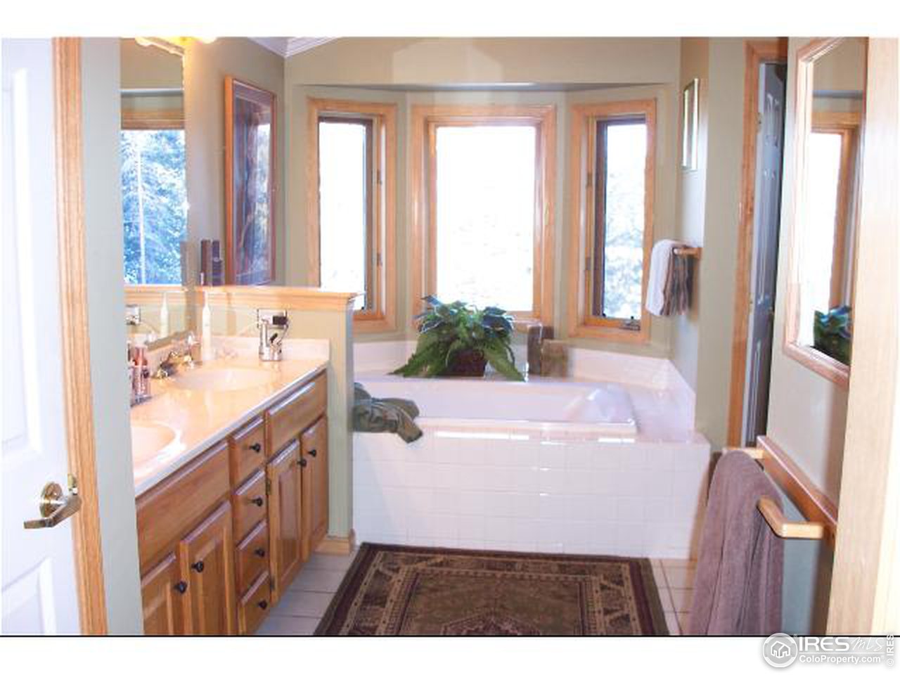 8184 Rossman Gulch Road Morrison, CO 80465 - Photo 8 of 12 MASTER BATH