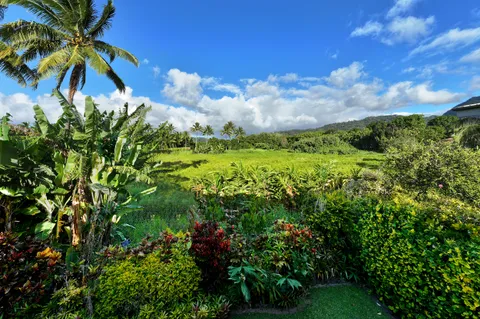 $5,500,000 | 5071 Opelu Street, Unit A, Hanalei, HI 96714