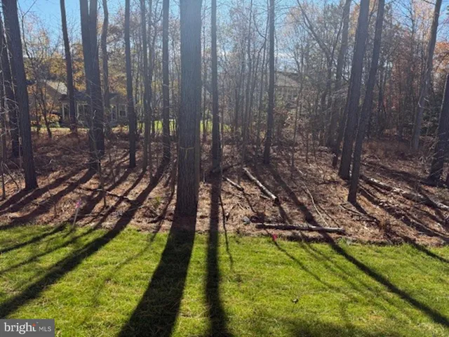 a view of an outdoor space