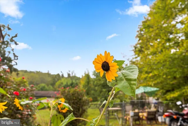 $460,000 | 621 Holly Corner Road, Fredericksburg, VA 22406