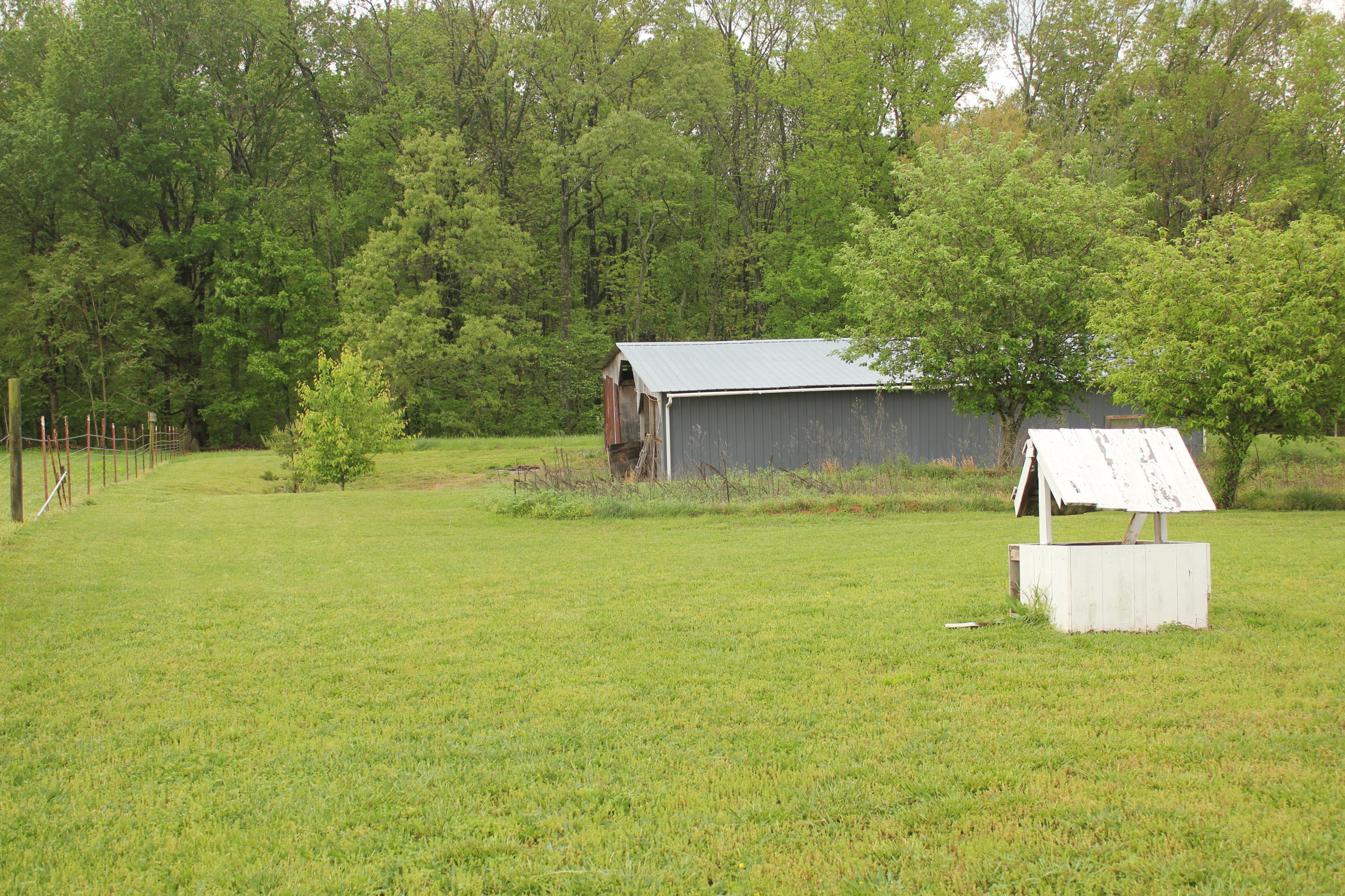 1949 Jackson Road Rutledge, TN 37861 - Photo 3 of 8 IMG_3915