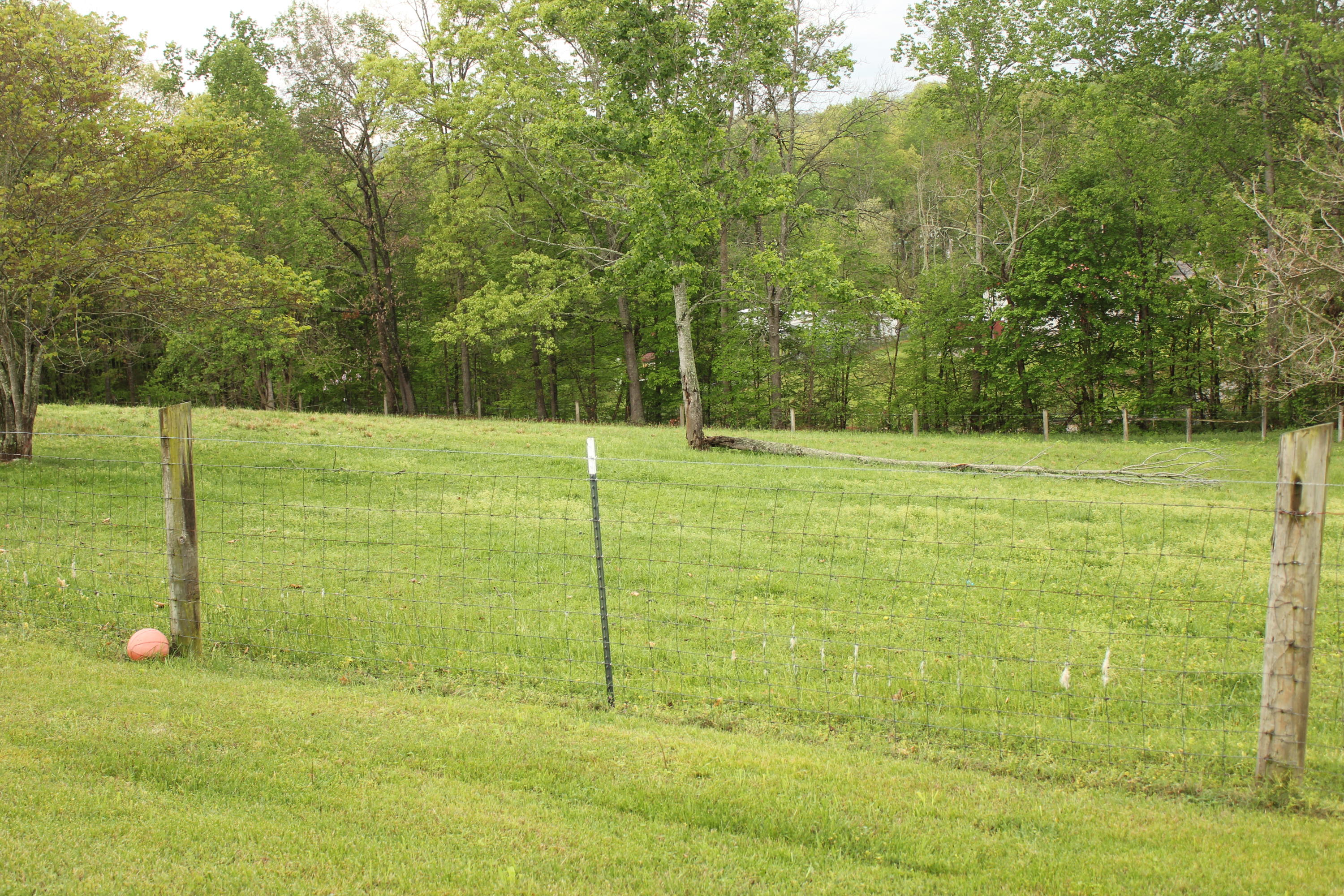 1949 Jackson Road Rutledge, TN 37861 - Photo 8 of 8 IMG_3913