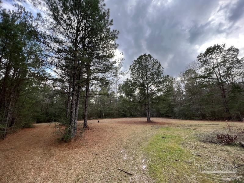 2620 McCranie Road Milton, FL 32570 - Photo 2 of 9 Gallery Image 2