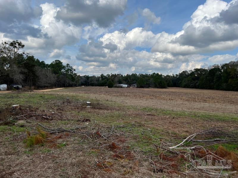2620 McCranie Road Milton, FL 32570 - Photo 6 of 9 Gallery Image 6