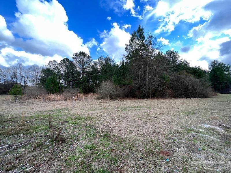 2620 McCranie Road Milton, FL 32570 - Photo 7 of 9 Gallery Image 7