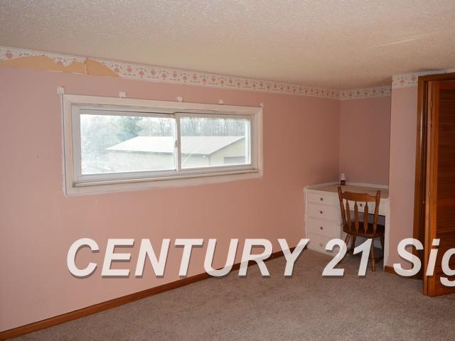 105 North Fenmore Road Merrill, MI 48637 - Photo 13 of 18