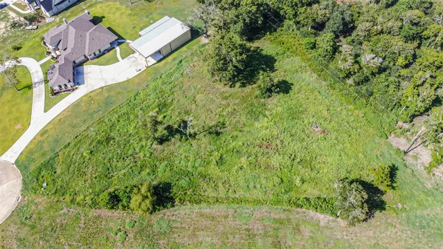 a view of a yard with plants
