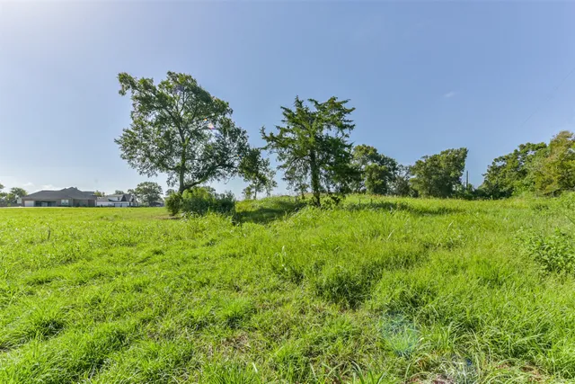 a view of garden view