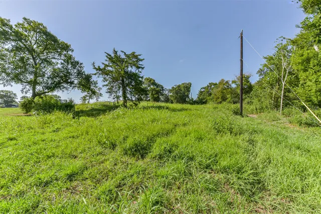 a big yard with lots of green space