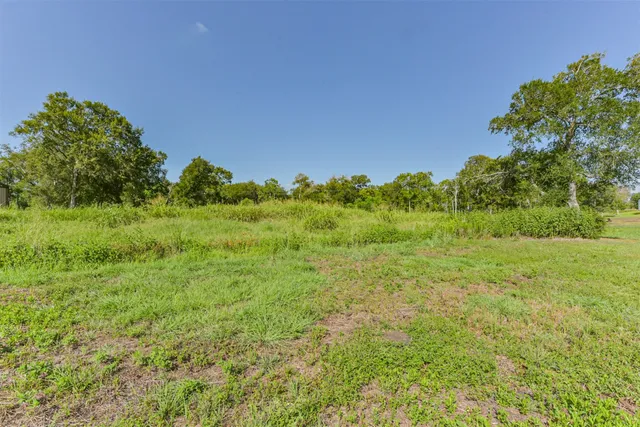 a view of a field with a tree