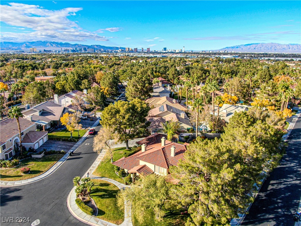 14 Pheasant Ridge Drive Henderson, NV 89014 - Photo 82 of 95 Gallery Image 82