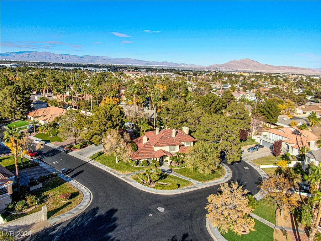 14 Pheasant Ridge Drive Henderson, NV 89014 - Photo 84 of 95 Gallery Image 84