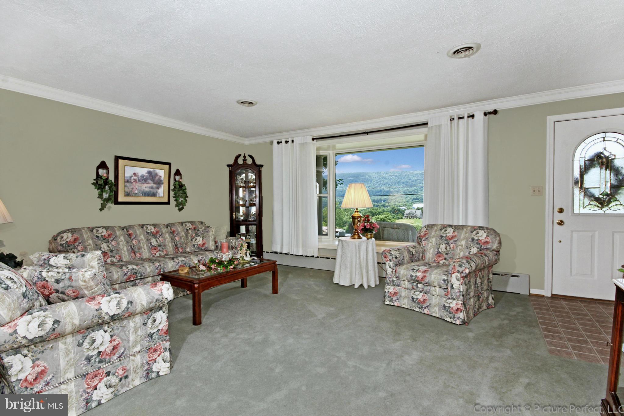1805 Rohrersville Road Knoxville, MD 21758 - Photo 16 of 30 Living Room