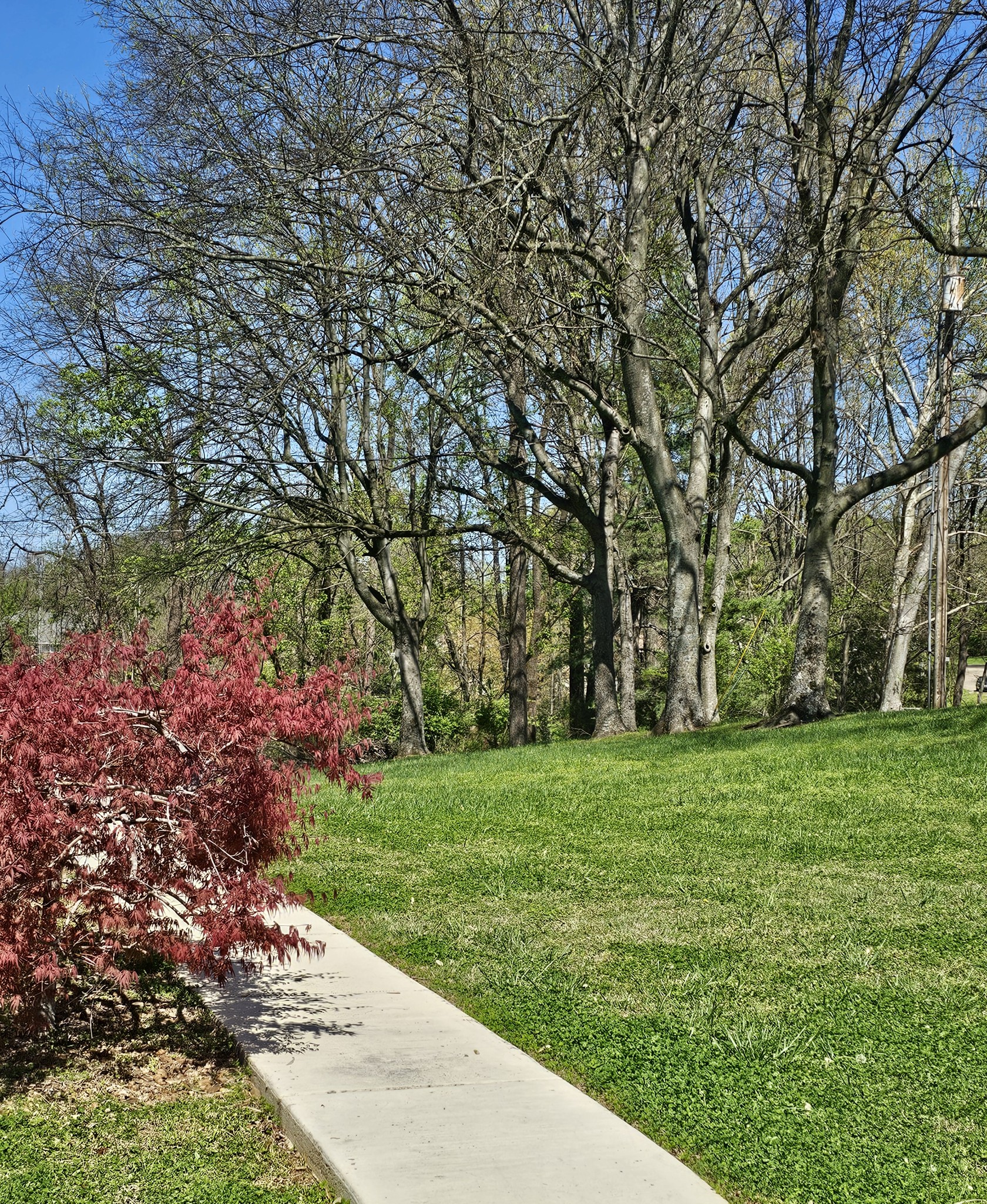 509 Ridge Court West Old Hickory, TN 37138 - Photo 29 of 30 Gallery Image 29
