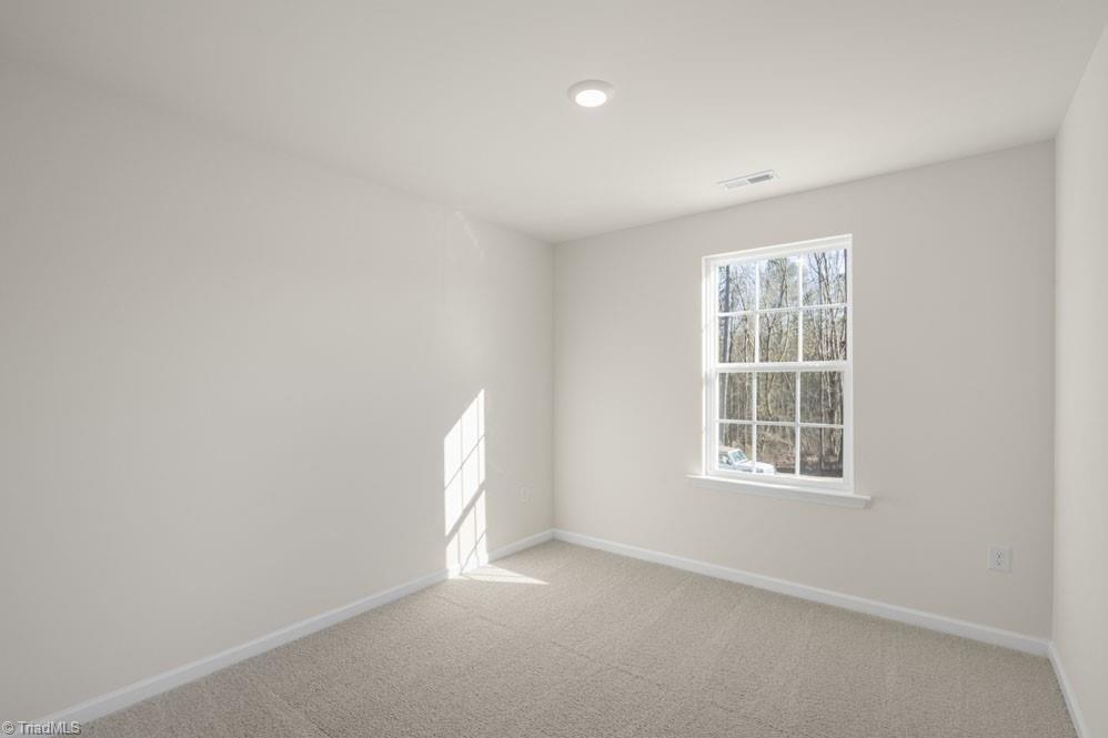 6603 Capstone Court Rural Hall, NC 27045 - Photo 27 of 33 *photos are of model home and are for representational purposes only.*