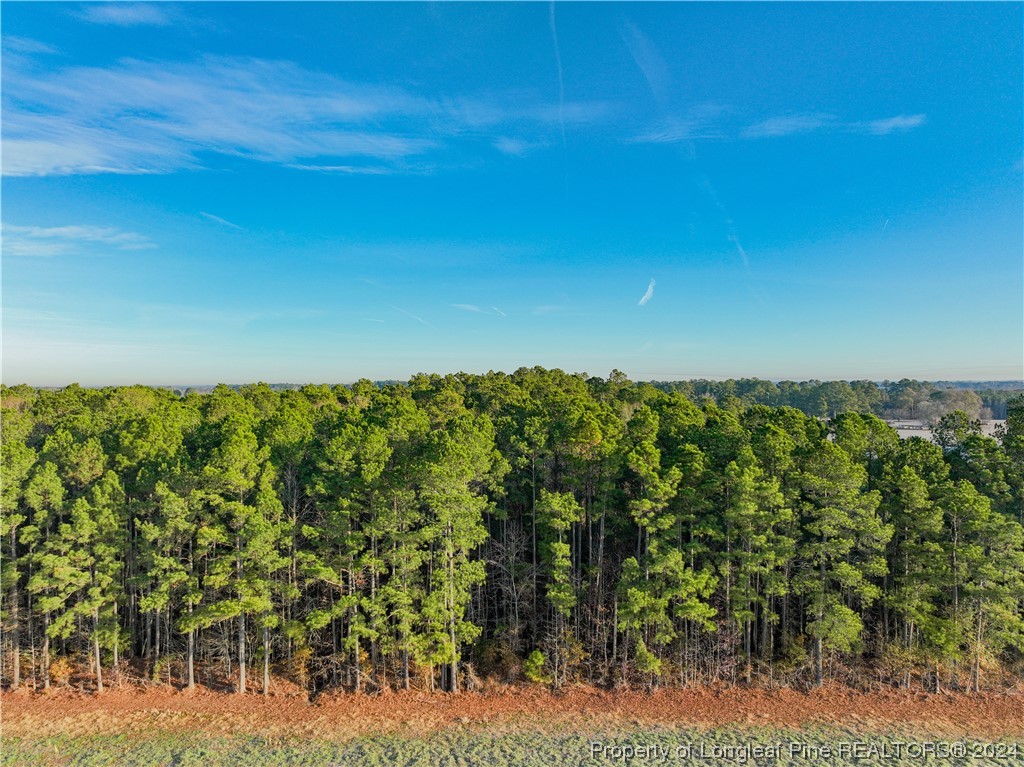 4266 Gaddy Road Fairmont, NC 28340 - Photo 10 of 15 Gallery Image 10
